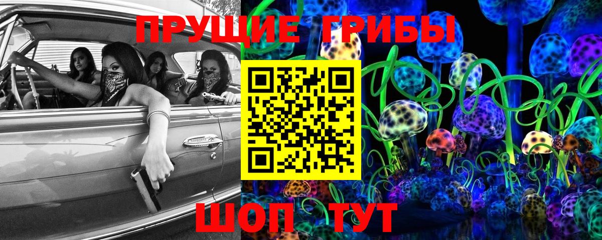 Псилоцибиновые грибы Cubensis  Вход с VPN  Шатура  Псилоцибиновые грибы мицелий 